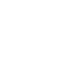 Icon 3